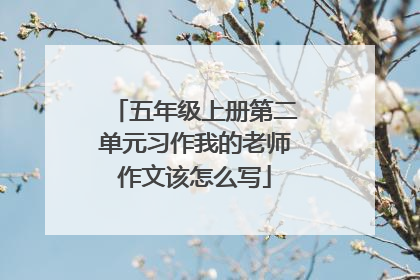 五年级上册第二单元习作我的老师作文该怎么写
