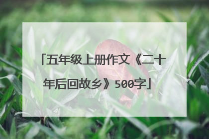 五年级上册作文《二十年后回故乡》500字