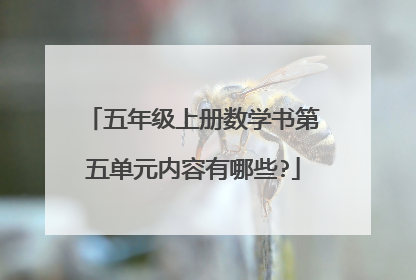 五年级上册数学书第五单元内容有哪些?