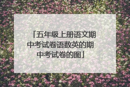 五年级上册语文期中考试卷语数英的期中考试卷的图