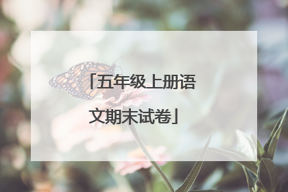 五年级上册语文期末试卷