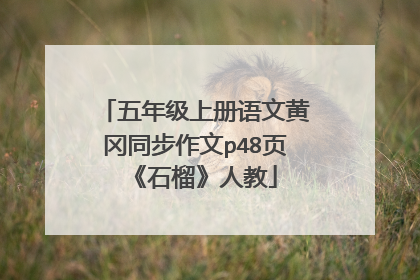 五年级上册语文黄冈同步作文p48页《石榴》人教