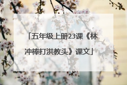 五年级上册23课《林冲棒打洪教头》课文