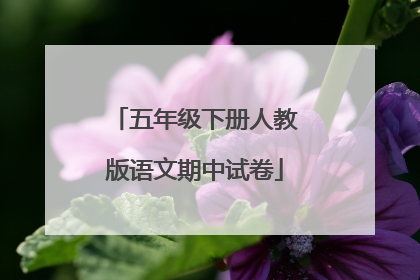 五年级下册人教版语文期中试卷