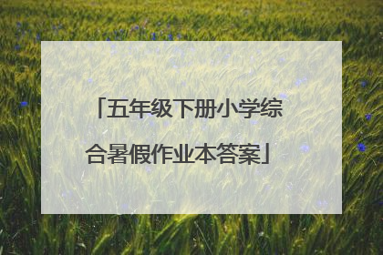 五年级下册小学综合暑假作业本答案