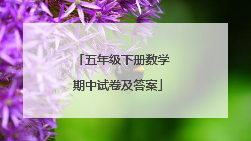 五年级下册数学期中试卷及答案