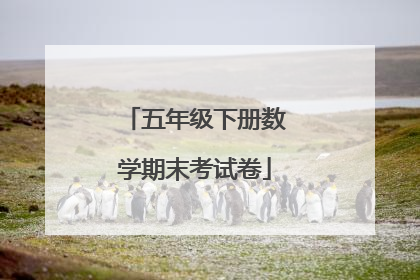 五年级下册数学期末考试卷