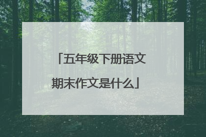 五年级下册语文期末作文是什么