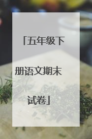 五年级下册语文期末试卷
