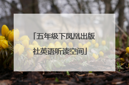 五年级下凤凰出版社英语听读空间