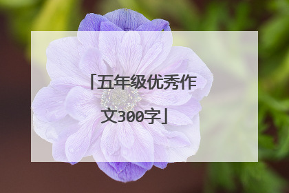 五年级优秀作文300字