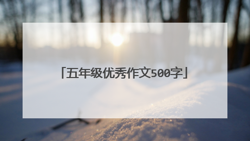 五年级优秀作文500字