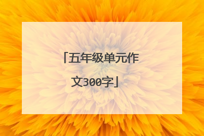 五年级单元作文300字