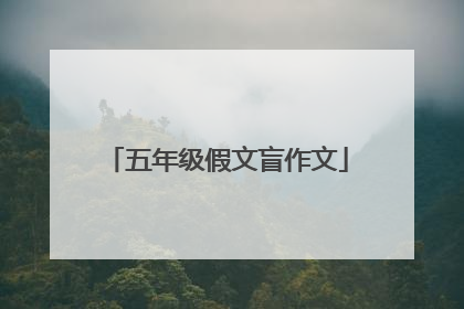 五年级假文盲作文