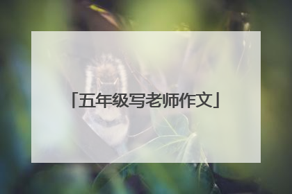 五年级写老师作文