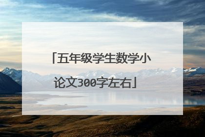 五年级学生数学小论文300字左右