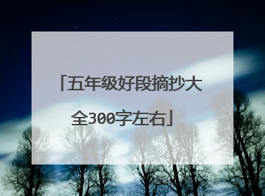 五年级好段摘抄大全300字左右