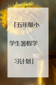 五年级小学生暑假学习计划