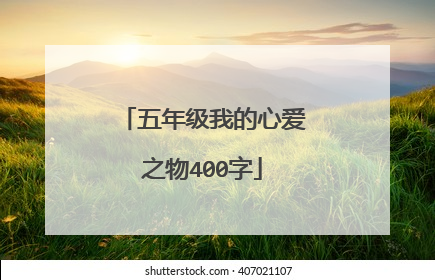 五年级我的心爱之物400字
