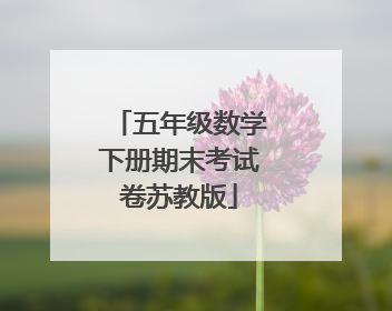 五年级数学下册期末考试卷苏教版