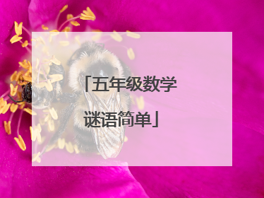 五年级数学谜语简单