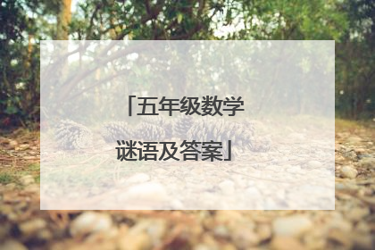 五年级数学谜语及答案