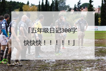 五年级日记300字快快快!!!!!