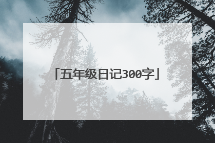 五年级日记300字