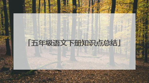 五年级语文下册知识点总结
