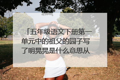 五年级语文下册第一单元中的祖父的园子写了明晃晃是什么意思从这个词语中你感?