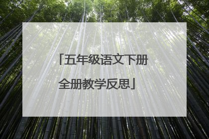 五年级语文下册全册教学反思