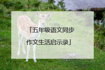 五年级语文同步作文生活启示录