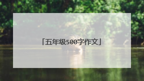 五年级500字作文
