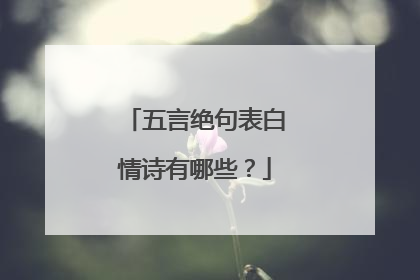 五言绝句表白情诗有哪些？