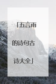 五言雨的诗句古诗大全