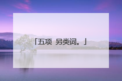 五项 另类词。