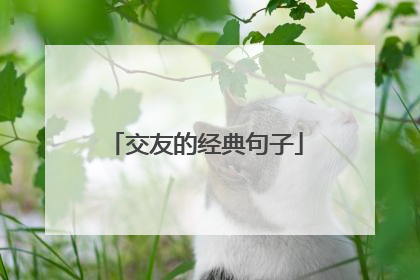 交友的经典句子