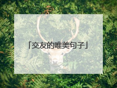 交友的唯美句子