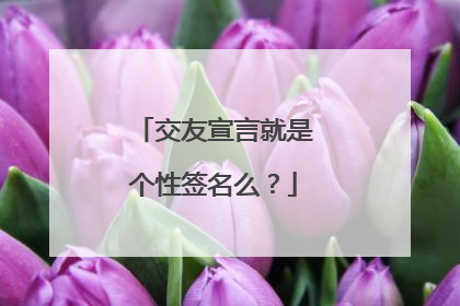 交友宣言就是个性签名么?