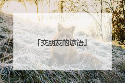 交朋友的谚语