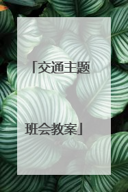 交通主题班会教案