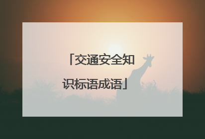 交通安全知识标语成语