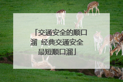 交通安全的顺口溜 经典交通安全最短顺口溜
