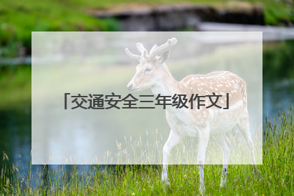 交通安全三年级作文