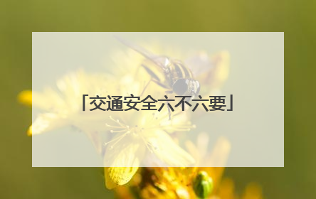 交通安全六不六要