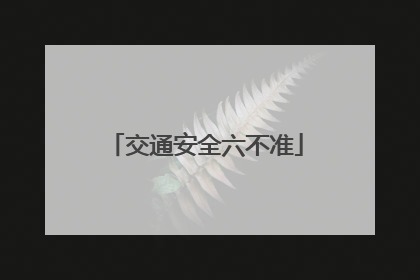 交通安全六不准