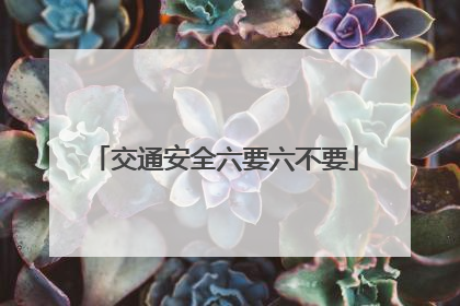 交通安全六要六不要