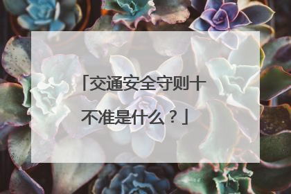 交通安全守则十不准是什么?