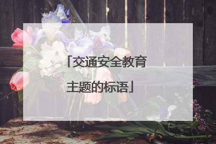 交通安全教育主题的标语
