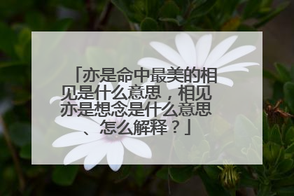 亦是命中最美的相见是什么意思,相见亦是想念是什么意思、怎么解释?